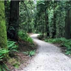 Lake Padden Trails