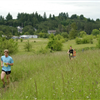trail