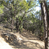 PK course photo 5