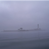 Boston Light Swim
