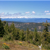 Stuart Range from Cle Elum Ridge