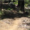 more course