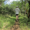 Howe Ditch Trail