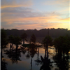 Cajun Coyote Trail Run