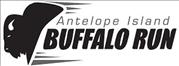 Antelope Island Buffalo Run - March 22, 2013