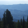 View from the ridge, facing east.