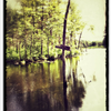 Great Brook 2