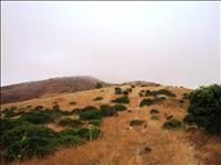 San Bruno Ultramarathons - February 24, 2013