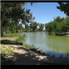 Tule Springs