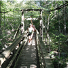 The Bridge