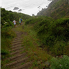 Downhill at Miwok