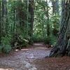 trail