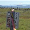 Tehama Wildflowers Trail Runs