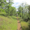 Howe Ditch Trail