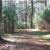 Trail 2