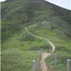 Course
