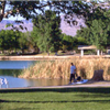 Tule Springs