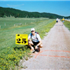 50 Mile Turn Around
