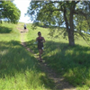 Tehama Wildflowers Trail Runs