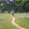 Tehama Wildflowers Trail Runs