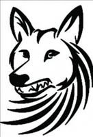Coyote 5K - June 02, 2013