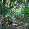 Course Photo