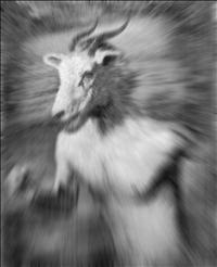Speedgoat - July 27, 2013