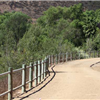 San Diego 50 and Trail Marathon