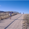Antelope Island Buffalo Run