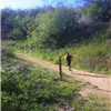 Chino Hills Trail Run Series