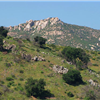 San Diego 50 and Trail Marathon 