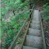 Forest Glen Trail Run