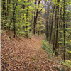 Sinnemahone Ultra Marathon