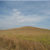 Heartland 2