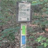 Duncan Ridge Trail