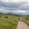 San Diego 50 and Trail Marathon 