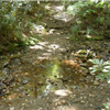 Iron Mountain 