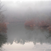 Black Warrior 