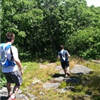 The Greenfield Trail Races