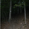 Night on the Trail. Bring it!