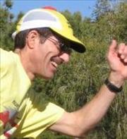 David Elsbernd