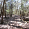 Trail