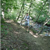 Trail Shot