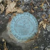 Duncan Ridge Trail