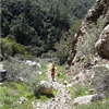 Trabuco Trail