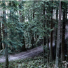 Plenty of trail