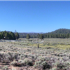 Holcomb Valley