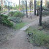 Trail near Ridge Rd