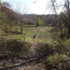 Mendon Trail Run