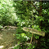 Johnny Cake Trail